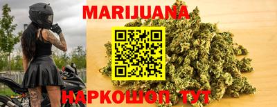 Альфа ПВП Новозыбков
