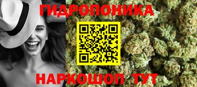 шишки Новокубанск