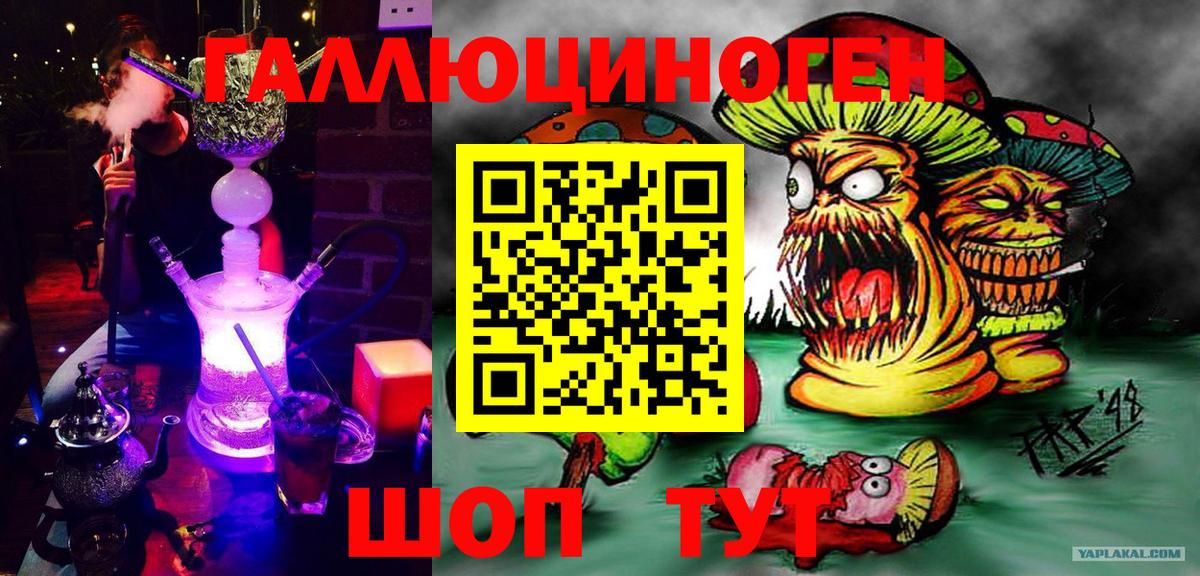 Новороссийск  Галлюциногенные грибы GOLDEN TEACHER  Вход с VPN 